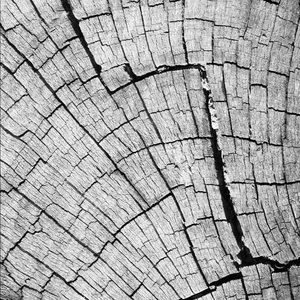 Meet your Posher, Alejandro